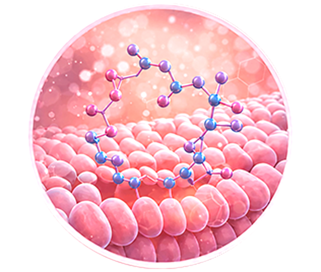 Ceramide Complex (Ceramide NP, AP, EOP)