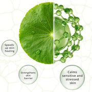 SEORE Centella Asiatica Facial Jelly Sheet Mask