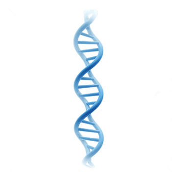 PDRN (Sodium DNA)