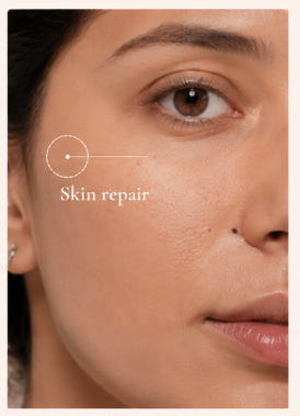 Damages Skin Barrier