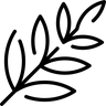 With Dendropanax + Galactomyces